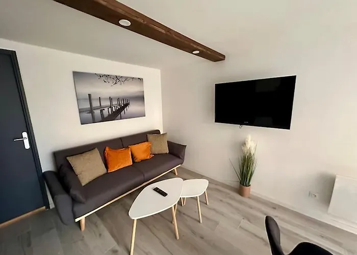 Appartement Confortable Centre De Vichy