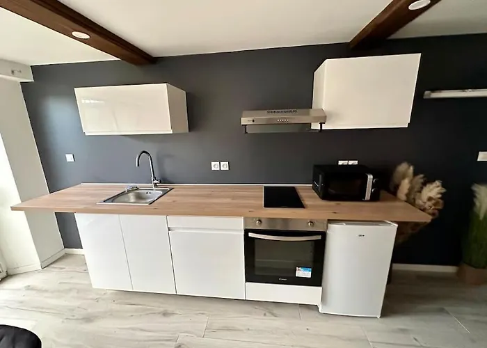 Appartement Confortable Centre De