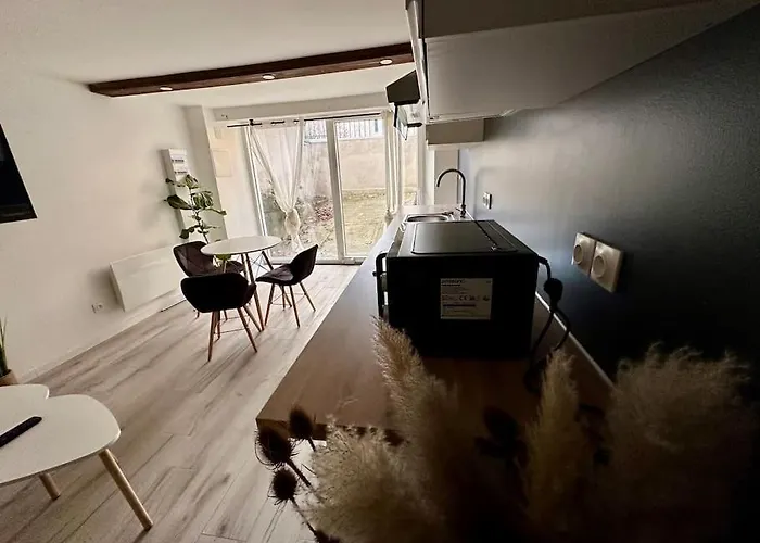 Appartement Confortable Centre De Vichy