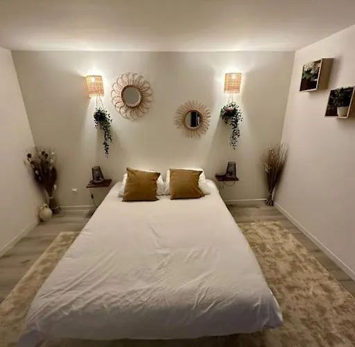 Appartement Confortable Centre De Vichy